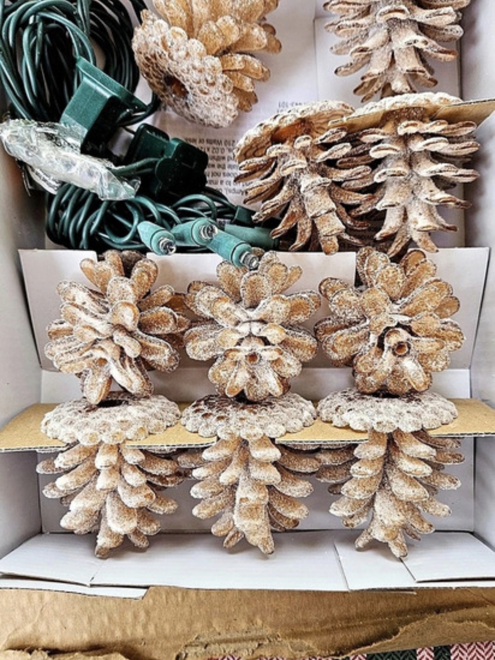 Philips 10 Warm White Pinecone Lights LED String Lights